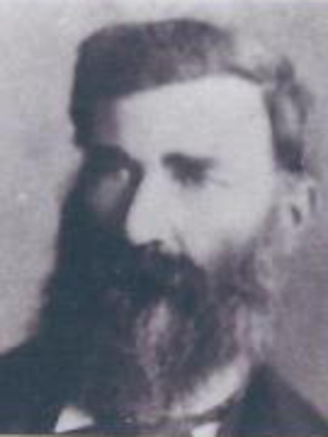 William Williamson (1842 - 1917) Profile